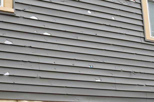 Best Siding Painting and Refinishing  in Pebble Creek, FL